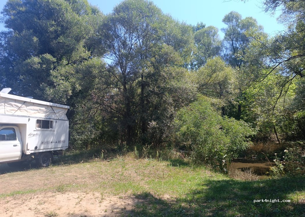 (18322) Jalbotina - — foto