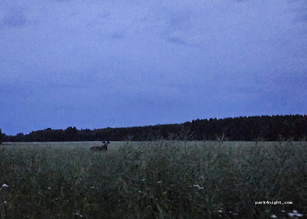Lindhagens Jordbruk — foto 5