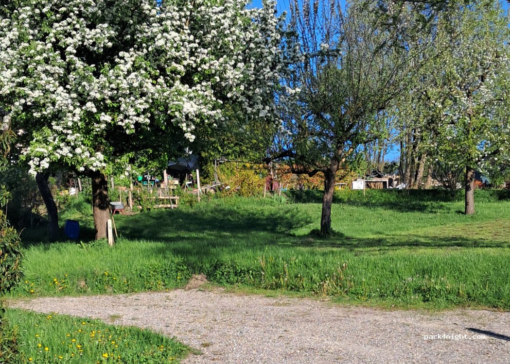 Plätzchen im Grünen — foto 5