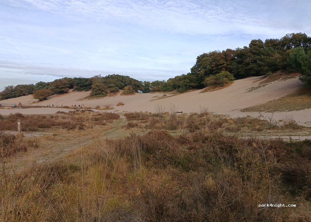 Camperplaats Uden Maashorst — foto 4