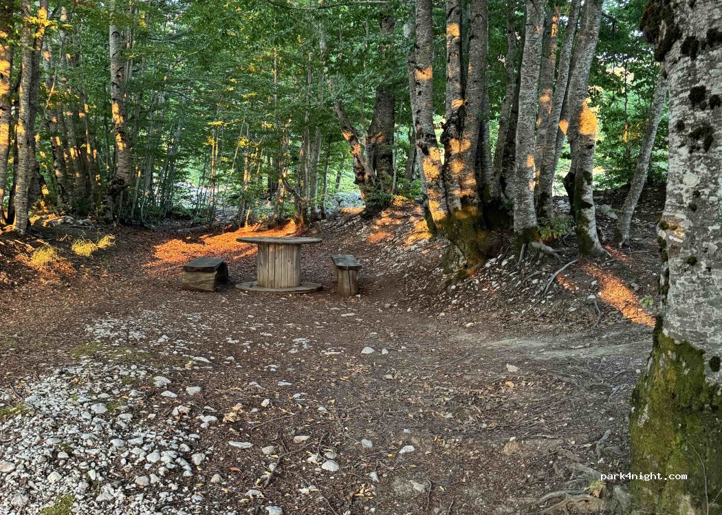 Eko kamp Luke — foto 2