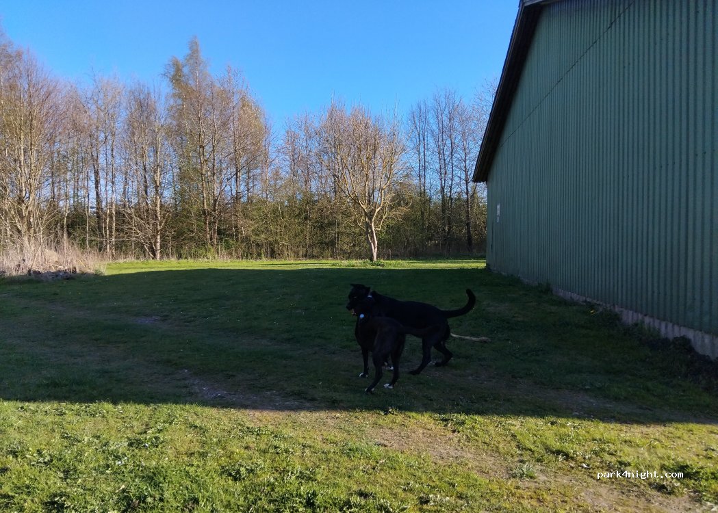(5690)  - Vesterlaugsvej — foto 3