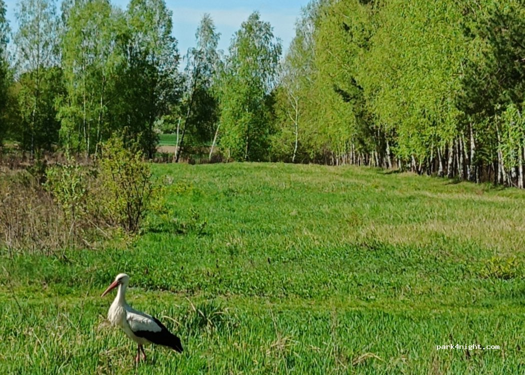 Siedlisko MAMA VERDE — foto 4