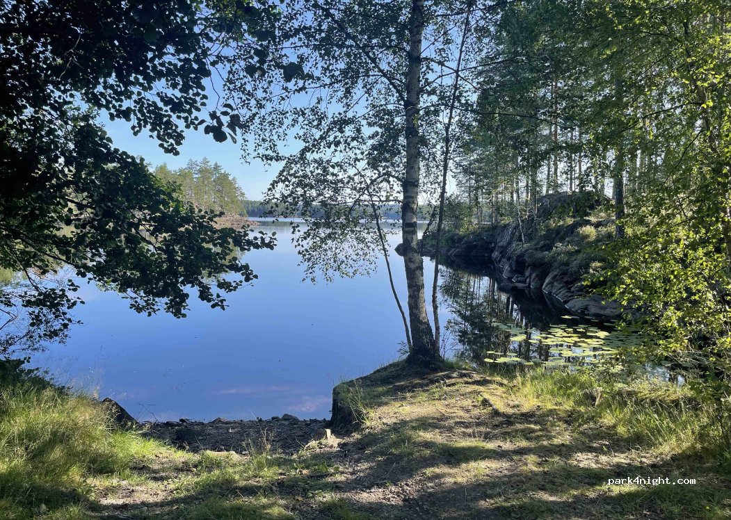 (1954) Setskog - — foto 2