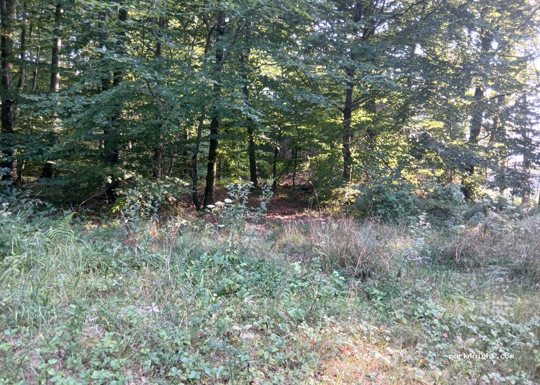 (88260) Hennezel - — foto 2