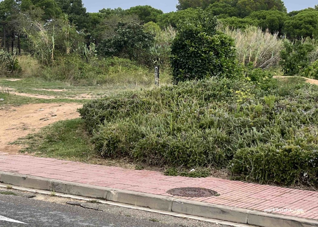 (17220) Sant Feliu de Guíxols - Carretera del Mas Trempat — foto