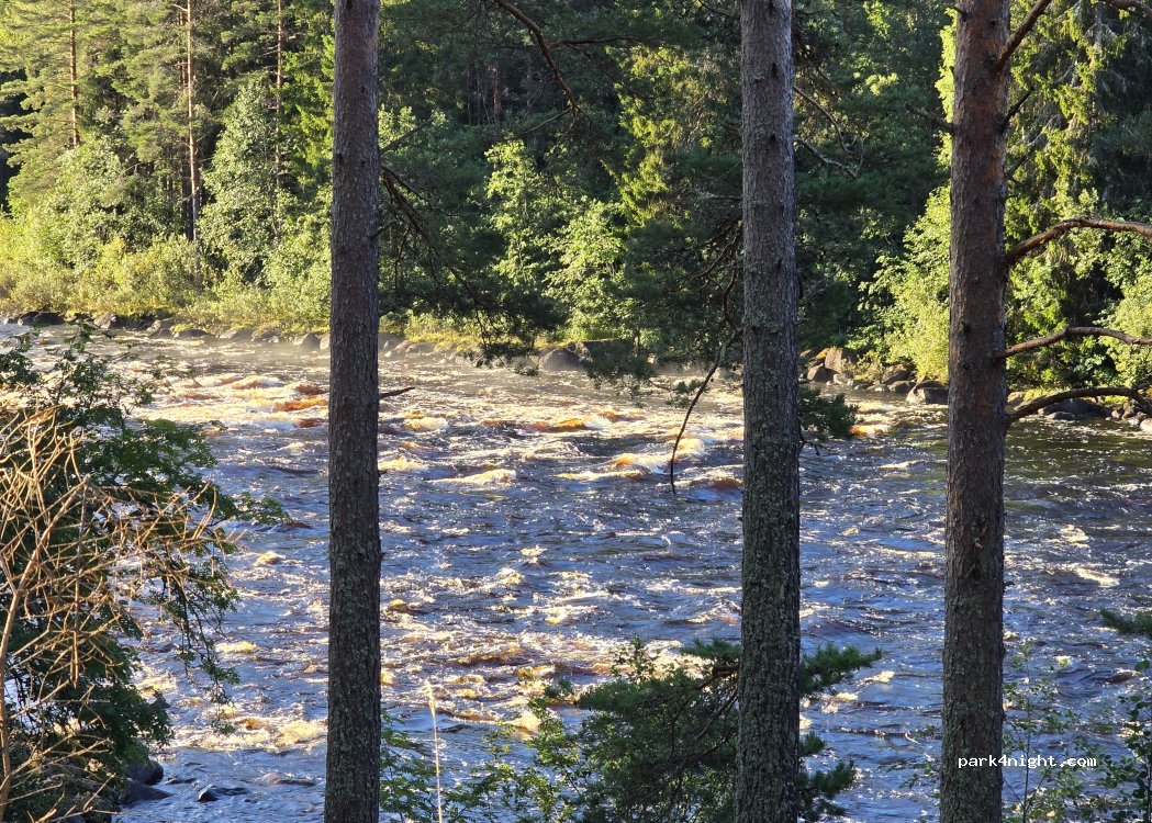 (785 45) Björbo - — foto 2