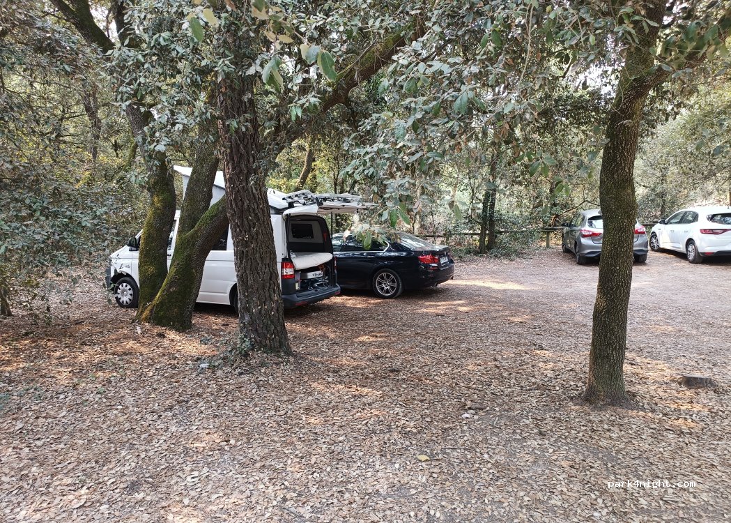 (85550) La Barre-de-Monts - Chemin des Lays — foto