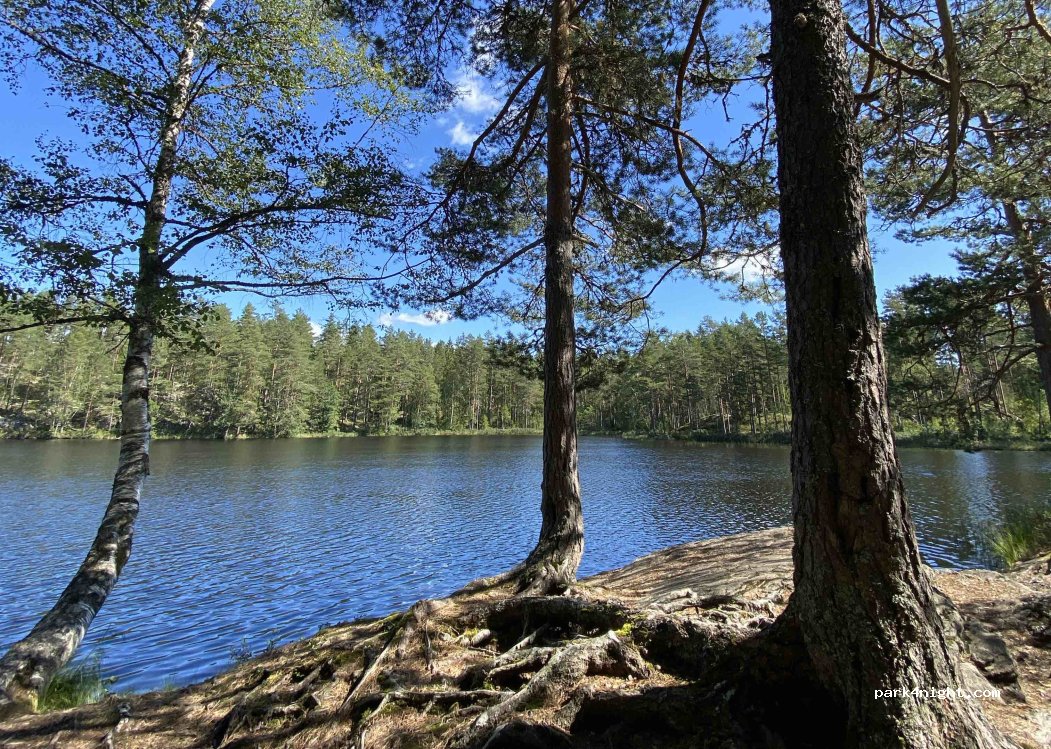 (1954) Setskog - Setskogveien — foto