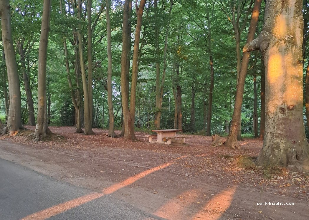 (14113) Villerville - Rue Thomas Jean Montsaint — foto