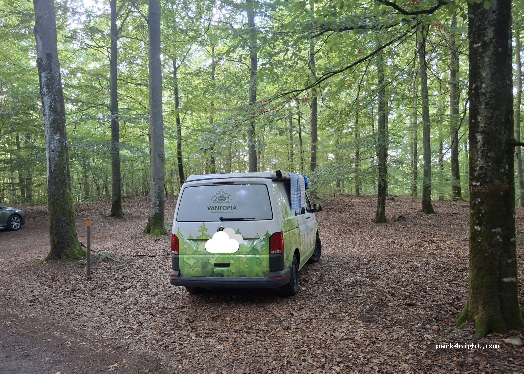 (243 93) Norra Rörum - M 1321 — foto