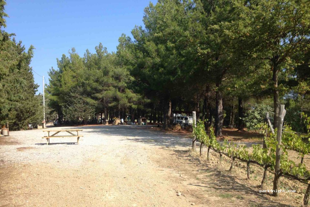 Area sosta Camper Il Cocco — foto