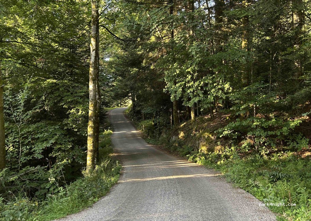 (88250) La Bresse - Route de Moyenmont — foto
