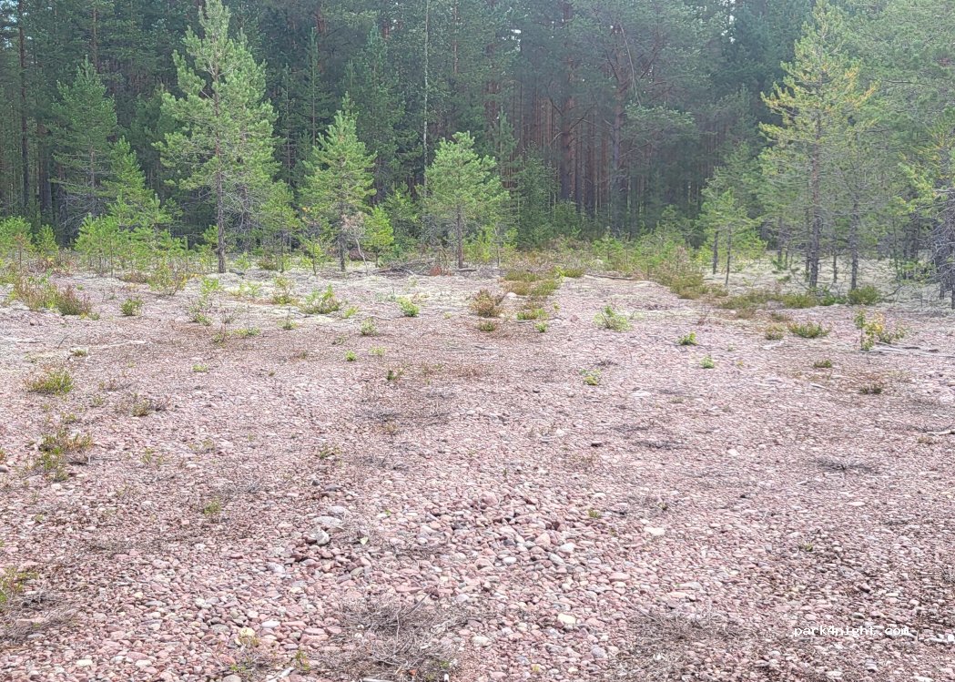 (79691) Blyberg - Väsavägen — foto 2