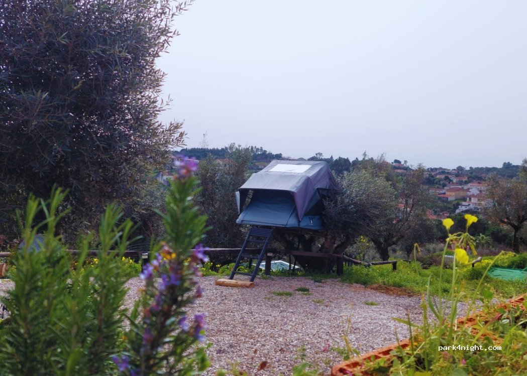 N2 Overlander Lodge — foto 2
