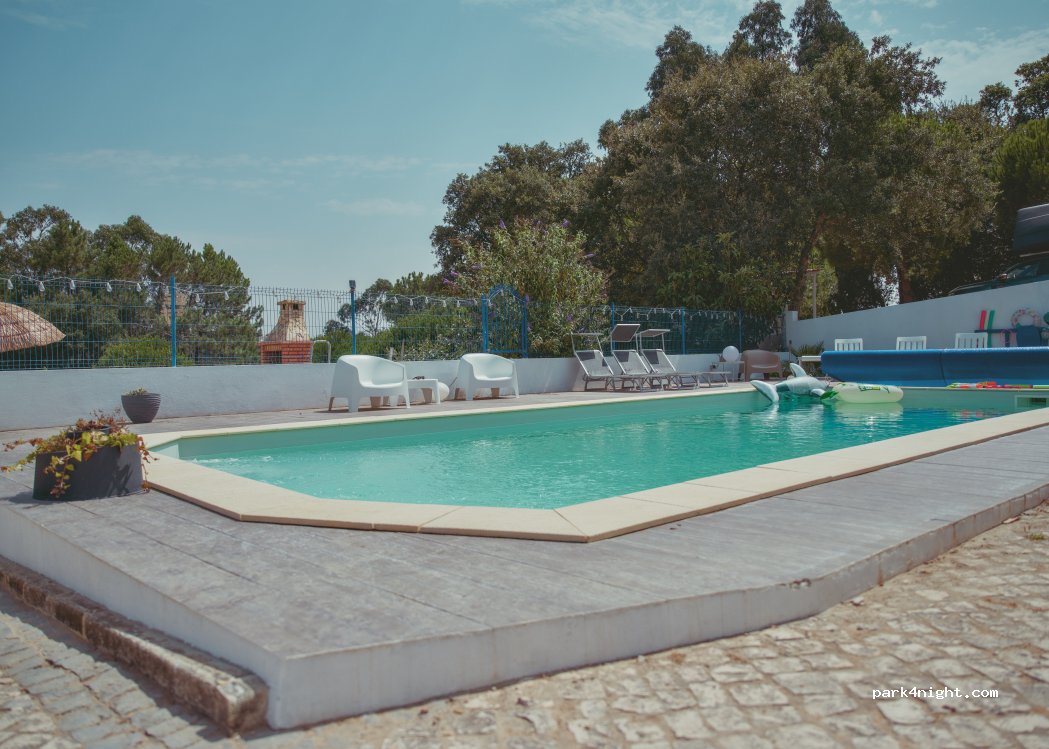 (2460–997) Cela - — foto 2