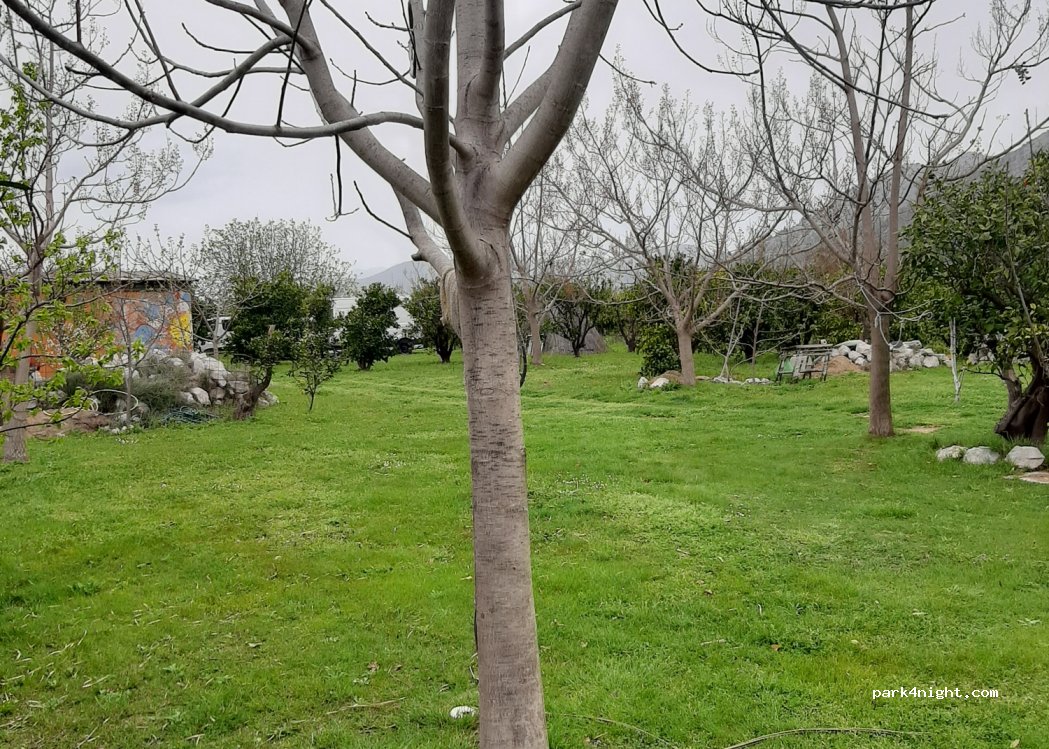Good Energy Camping — foto 3