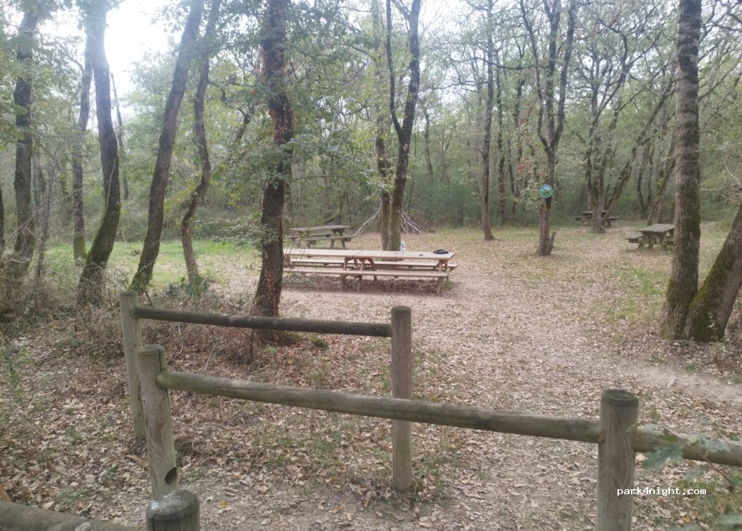 (31450) Montesquieu-Lauragais - — foto