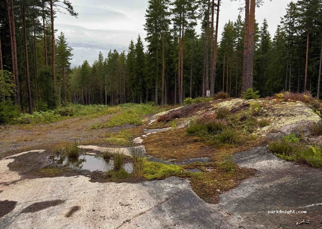 (69597) Tived - Kojvägen — foto 2