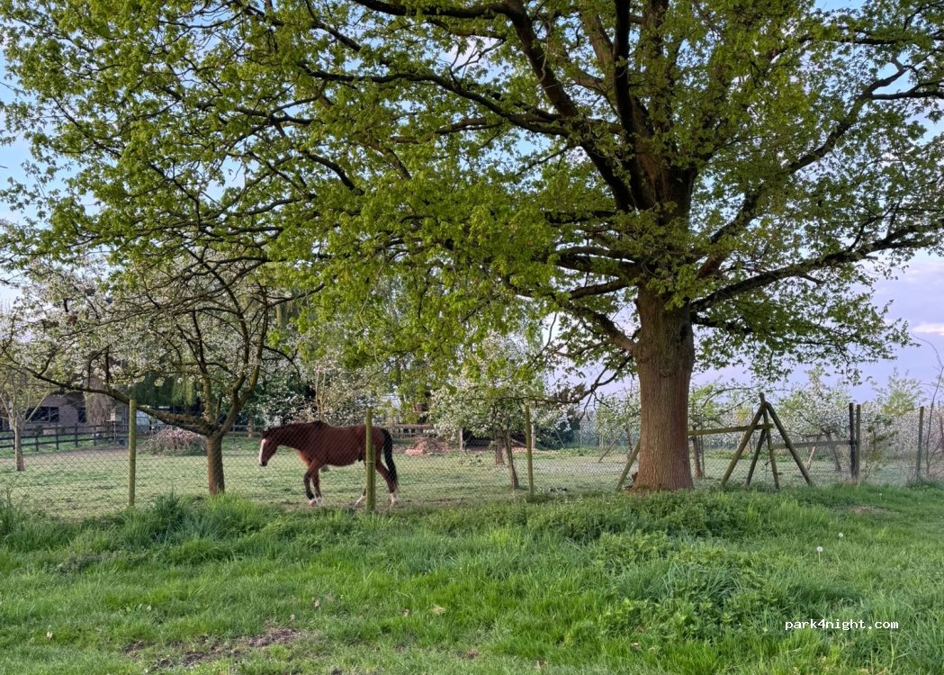 (3832) Ulbeek - Meerveldstraat — foto 3