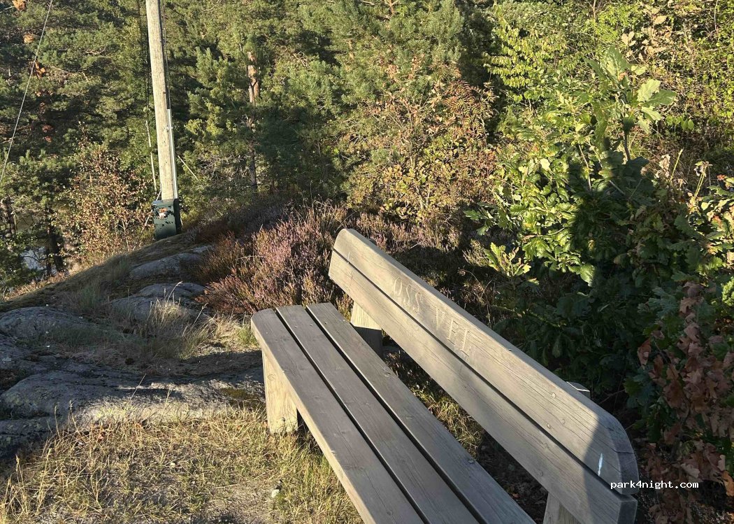 (4957) Sandnes - Åkvågveien — foto 3