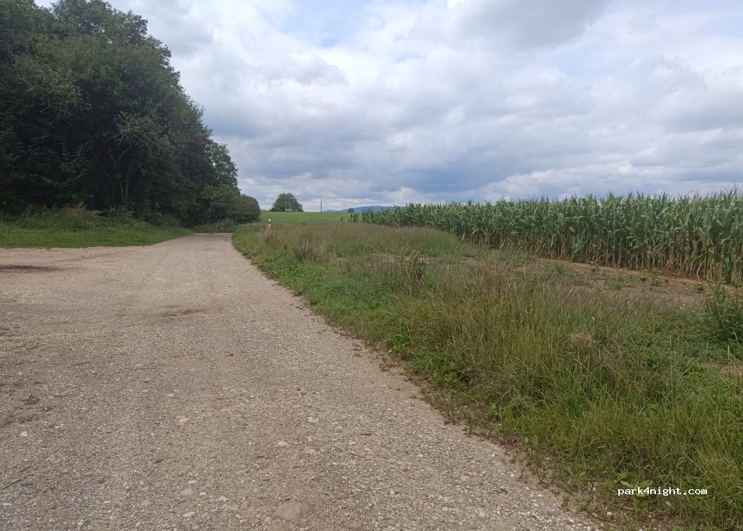(68780) Sternenberg - Rue Principale — foto