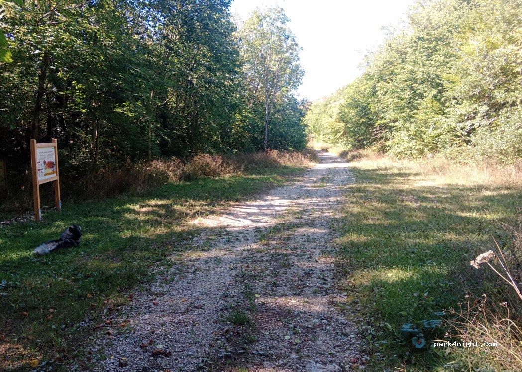 (26190) Saint-Laurent-en-Royans - Piste Forestière — foto