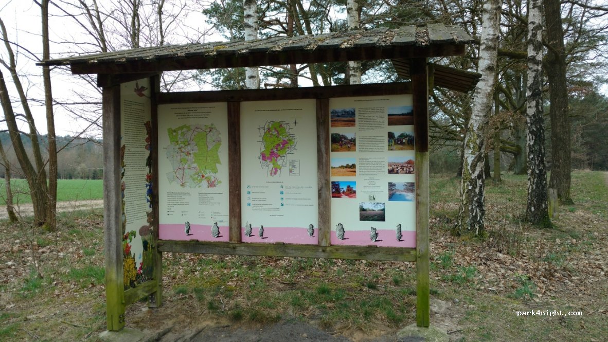 (29646) Bispingen - Behringer Heide — foto