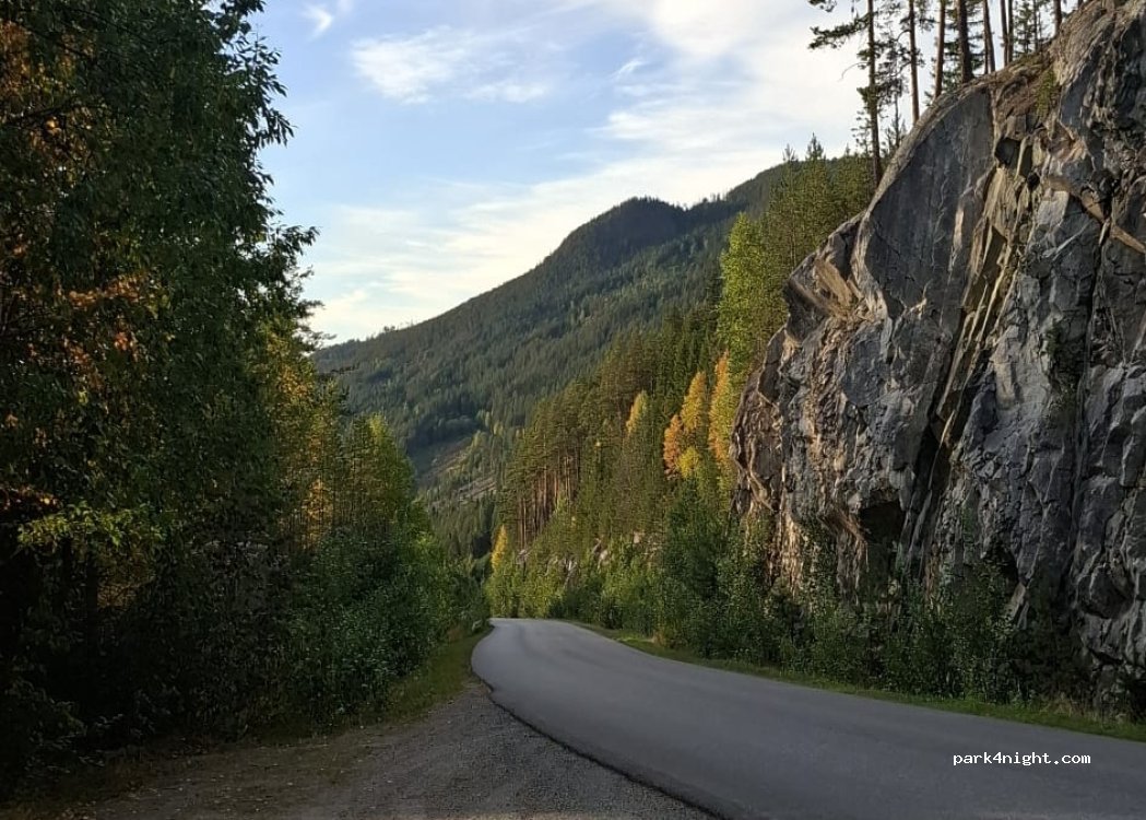 (3540) Nesbyen - Vassfarvegen — foto 2