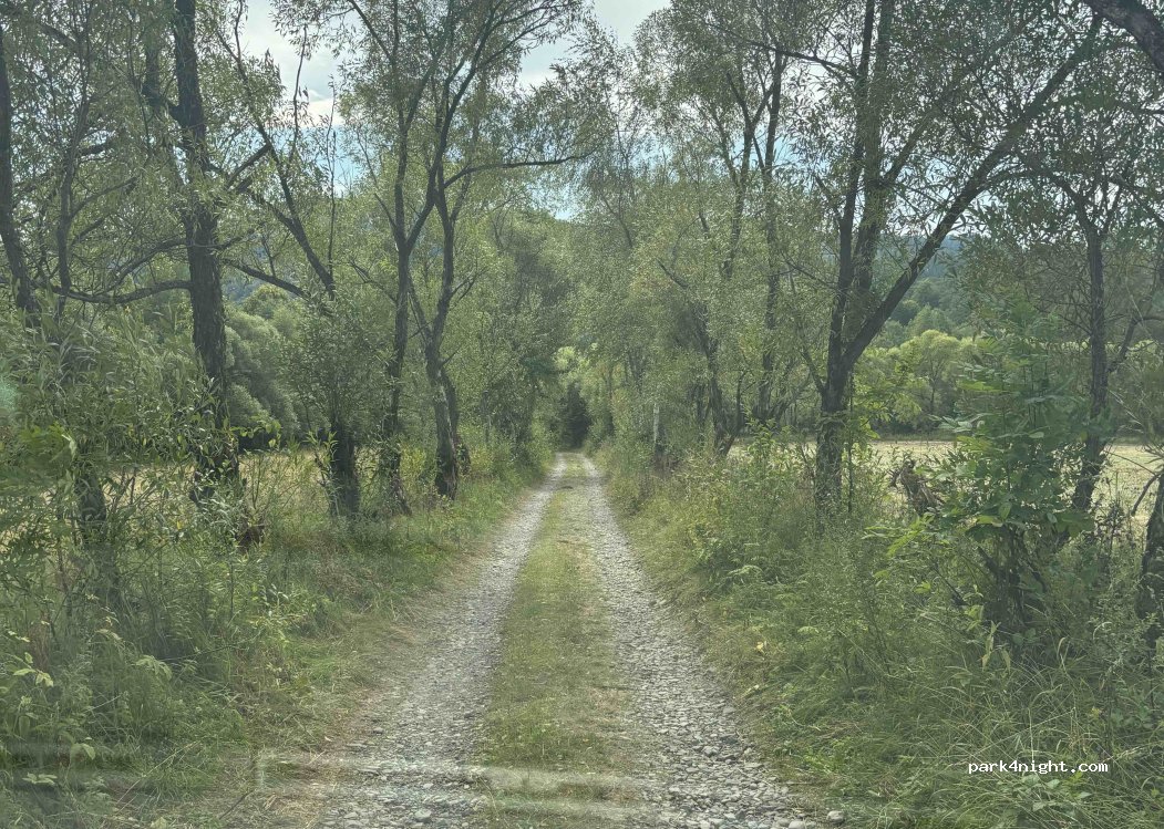 (38-713) Procisne - Droga dla UAZ-a — foto 2