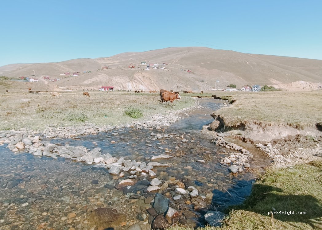 (29100) Şaphane - — foto 3