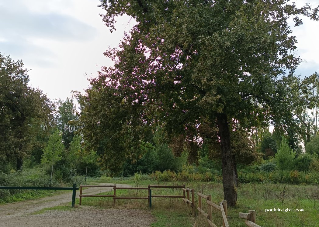 (82200) Castelsarrasin - Chemin de Bioule — foto