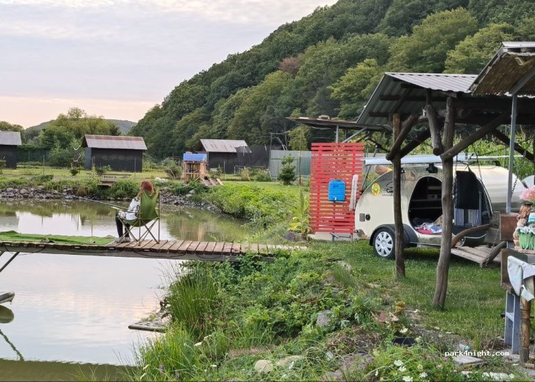 GOLDFISH CAMPING — foto 2