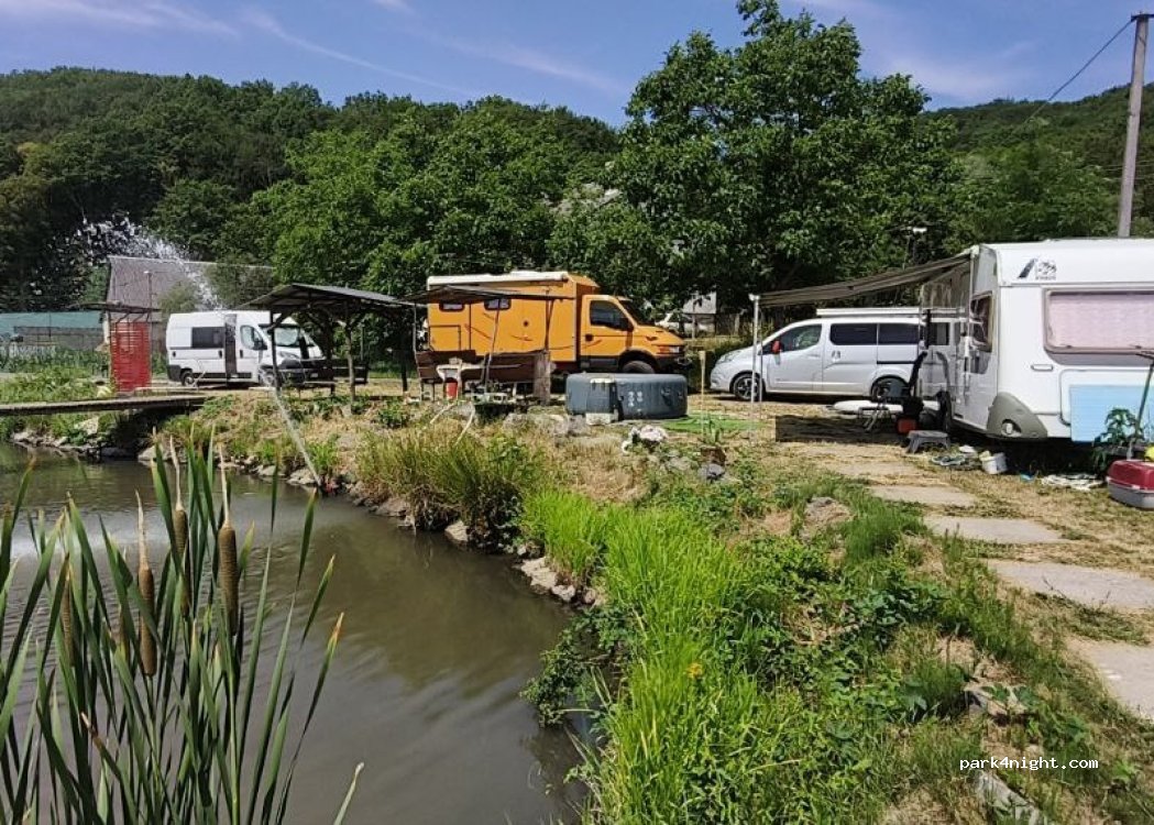 GOLDFISH CAMPING — foto 4
