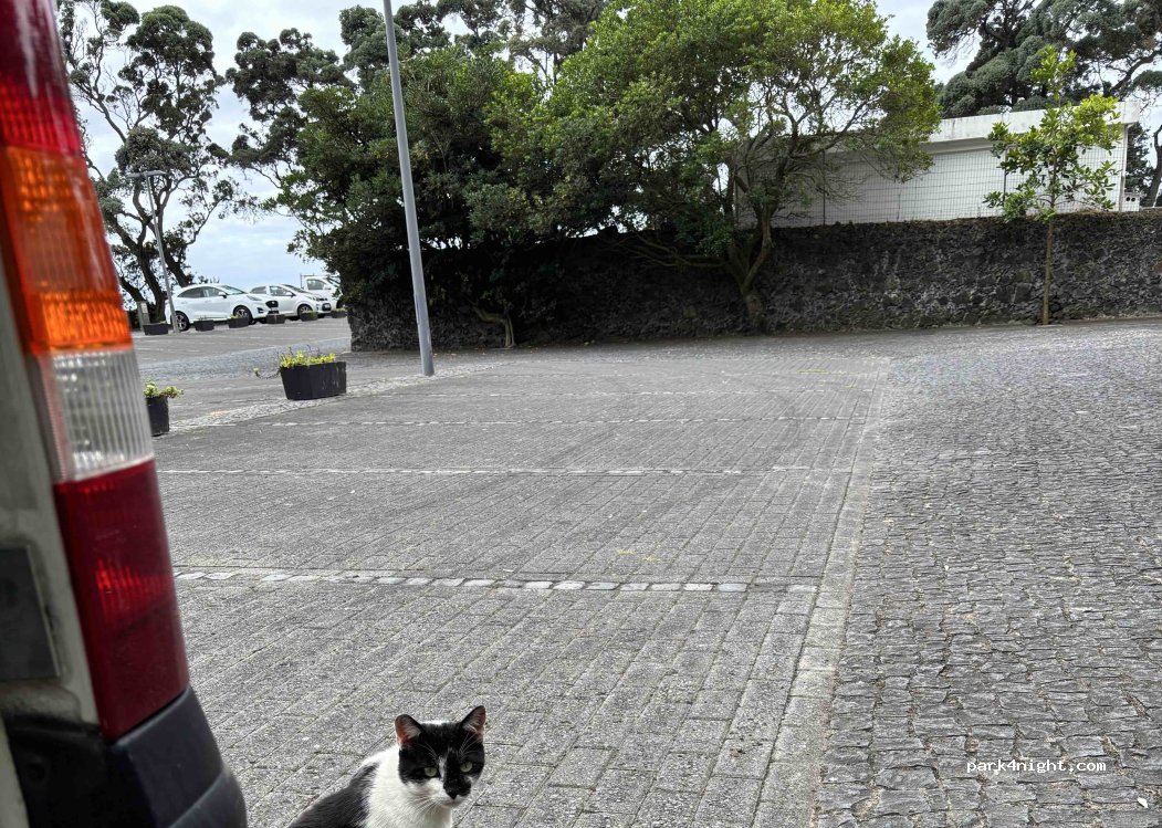 (9560-227) Água de Pau - Baixa D' Areia — foto