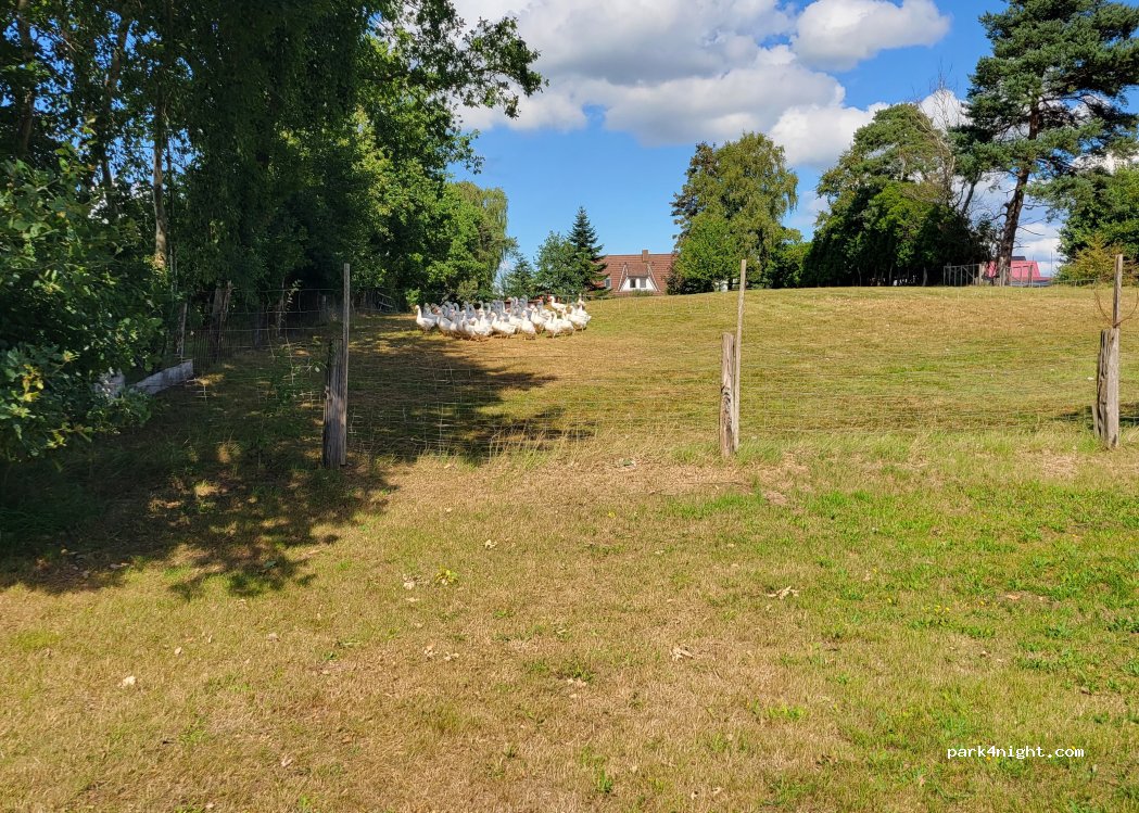 (21769) Lamstedt - Kapellenweg — foto