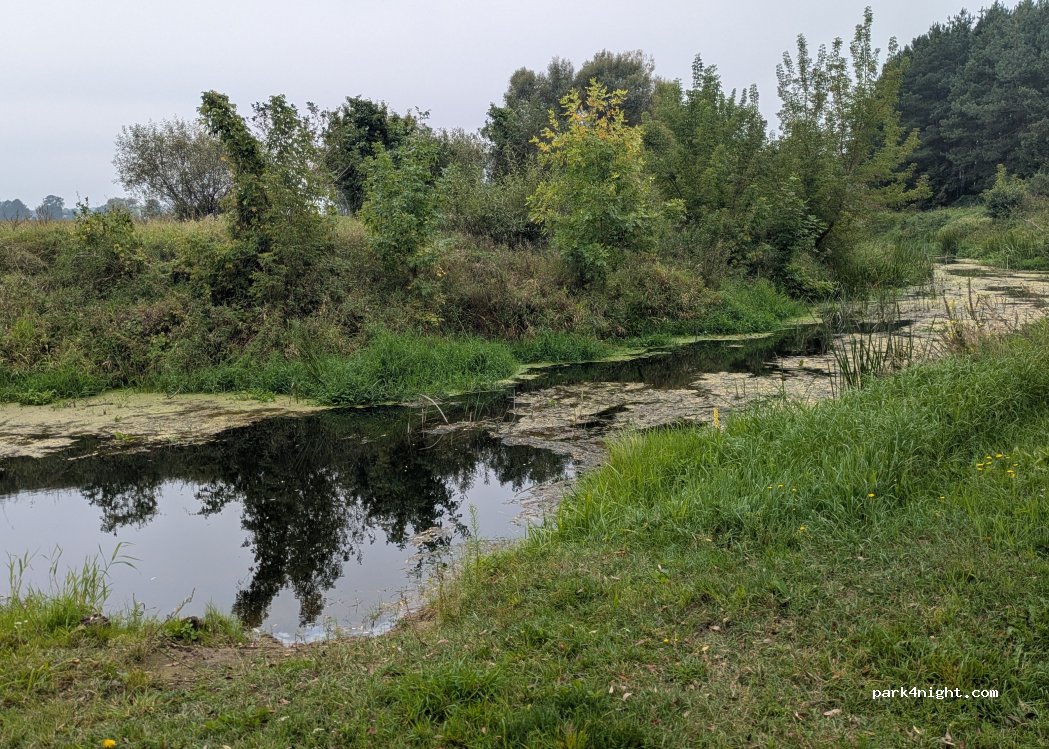 duckcamp.pl — foto 5