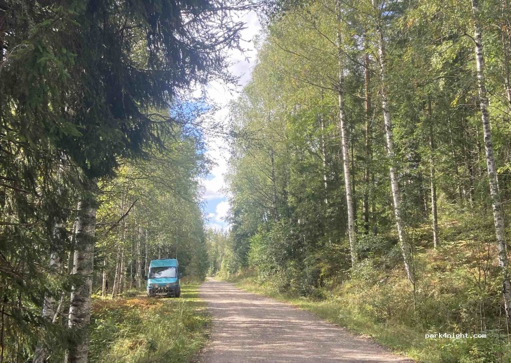 (67196) Mangskog - — foto 3