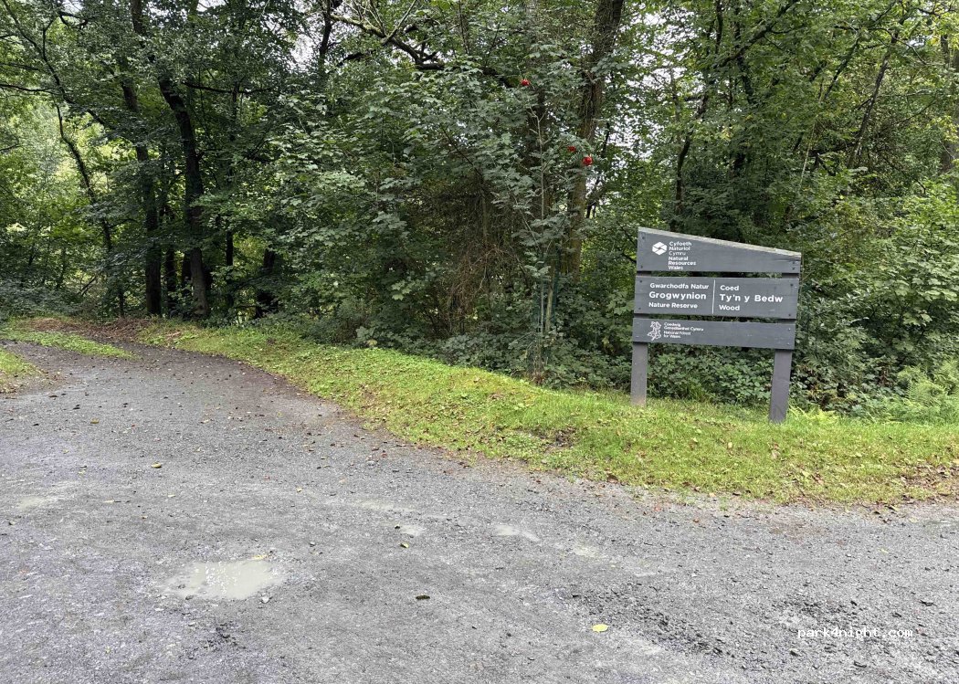 (SY25 6DQ) Pont-rhyd-y-groes - — foto