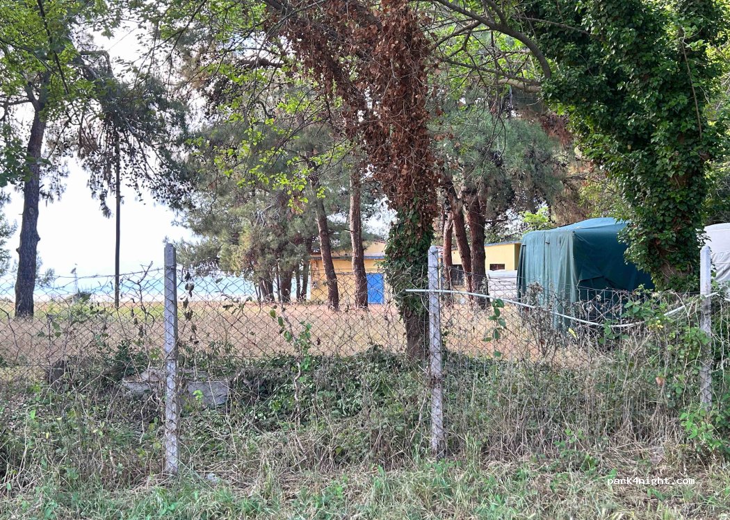 Camping Dedalos — foto 2