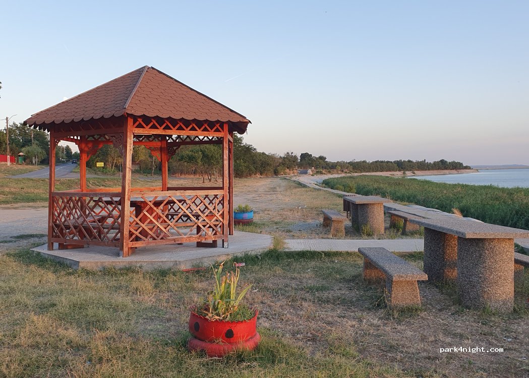 (917066) Boșneagu - DJ304 — foto