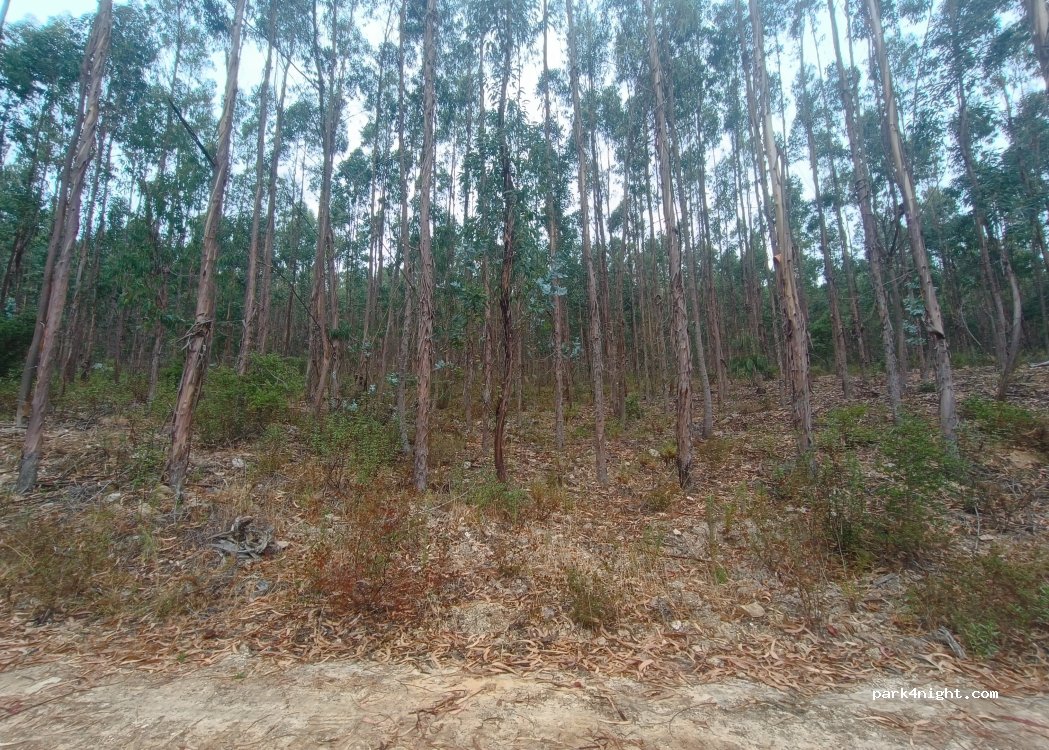 (7639-174) São Luís - — foto 2