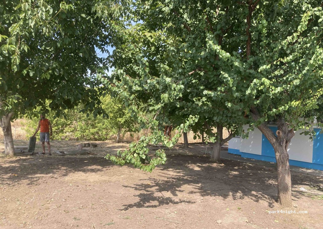 (917195) Perișoru - — foto 2