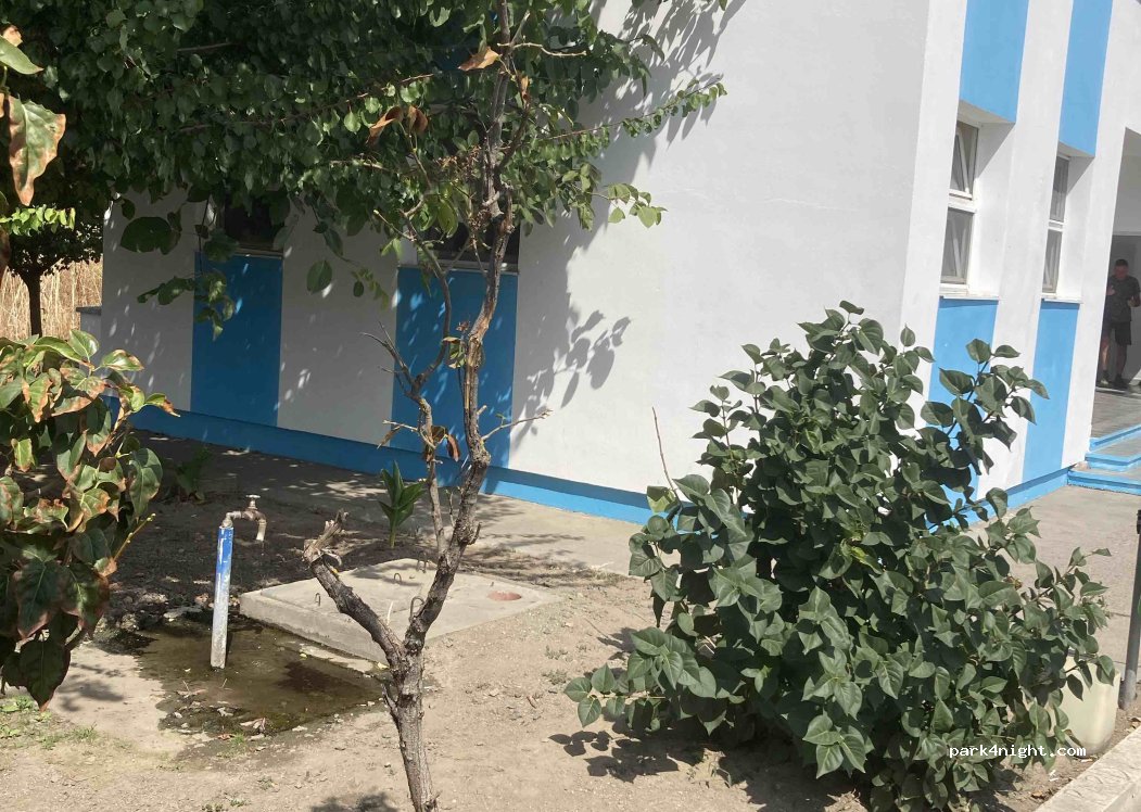 (917195) Perișoru - — foto 3