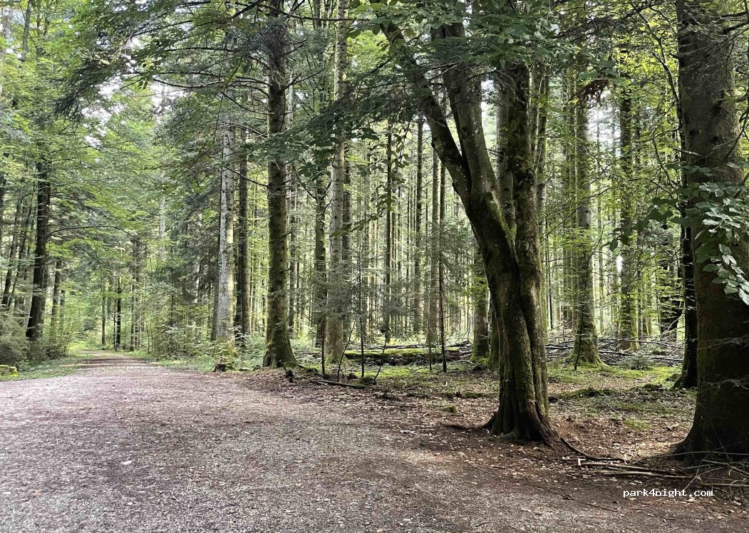 (83278) Traunstein - Steingraben — foto
