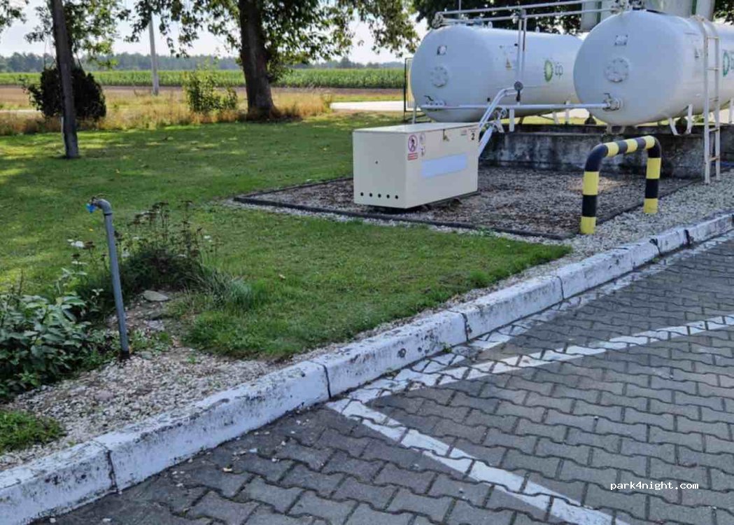 (83-407) Korne - 235 — foto
