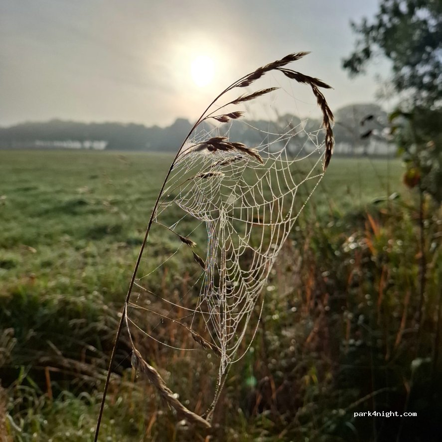 Camperplaats Erve Hagman — foto 2