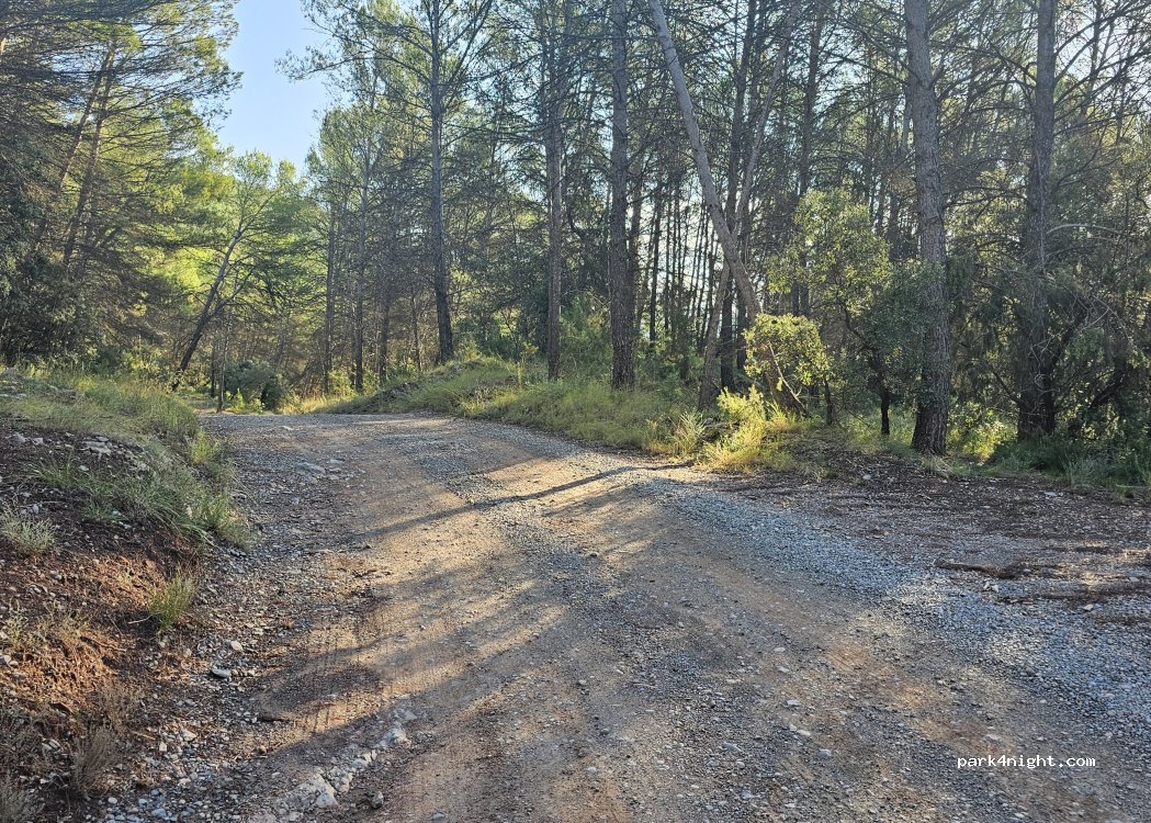 (08279) Avinyó - Camí de Turcó — foto 2