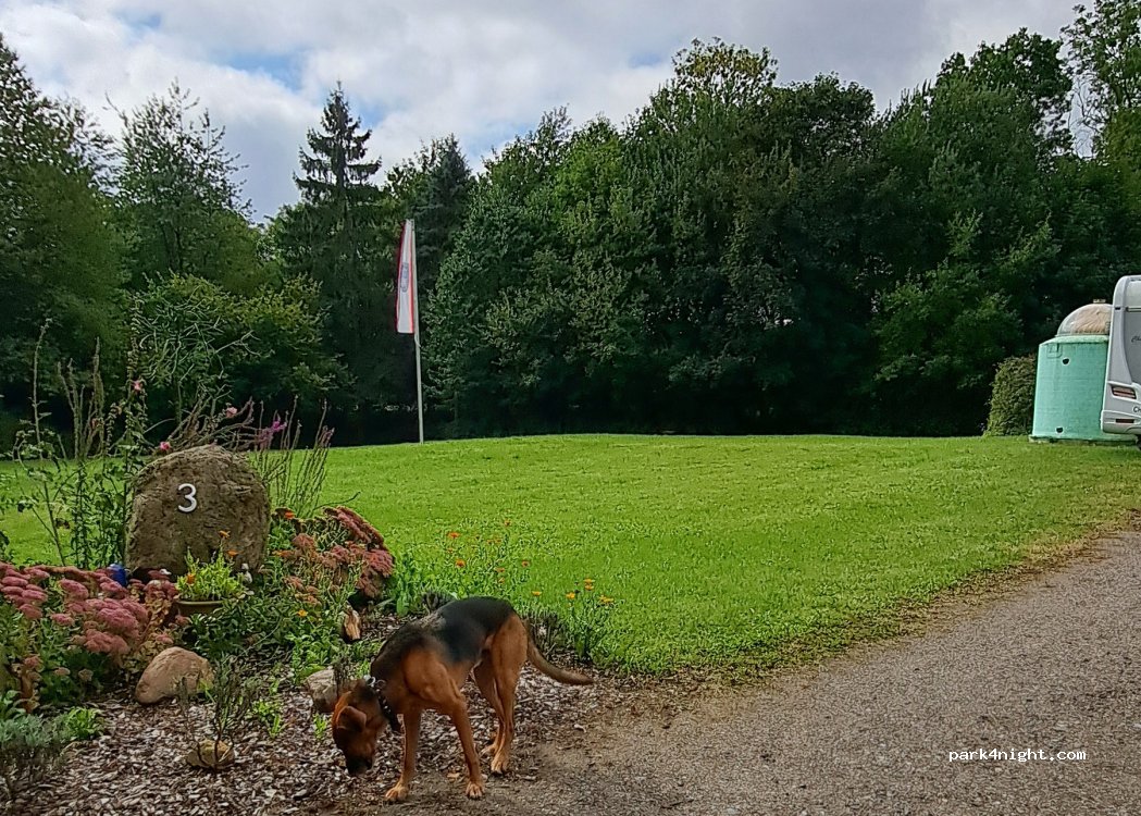 Bungsberghonig — foto 3