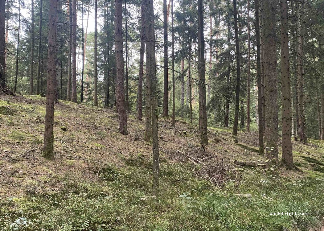 (21227) Bendestorf - Harburger Straße — foto 3